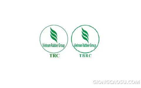 Bảng giá mủ cao su tham khảo tại Tây Ninh