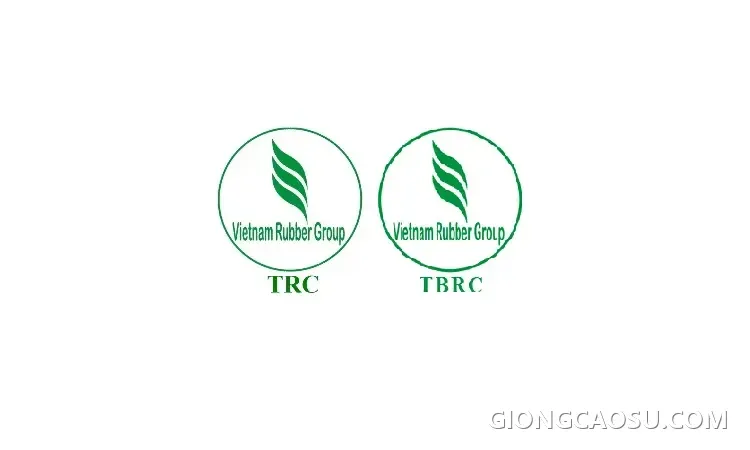 Bảng giá mủ cao su tham khảo tại Tây Ninh