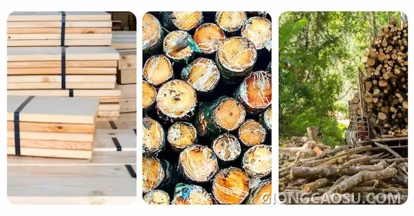 Gỗ cao su sau khi sơ chế