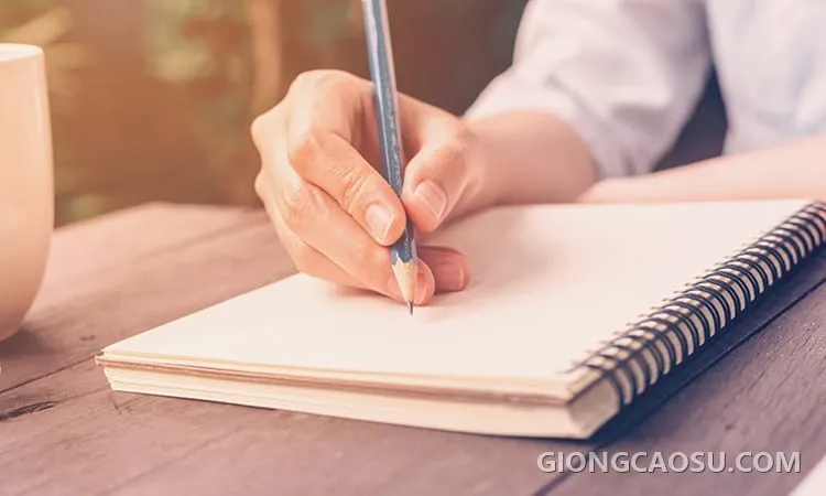 Cần làm gì để có bài thuyết minh về cây cao su tốt