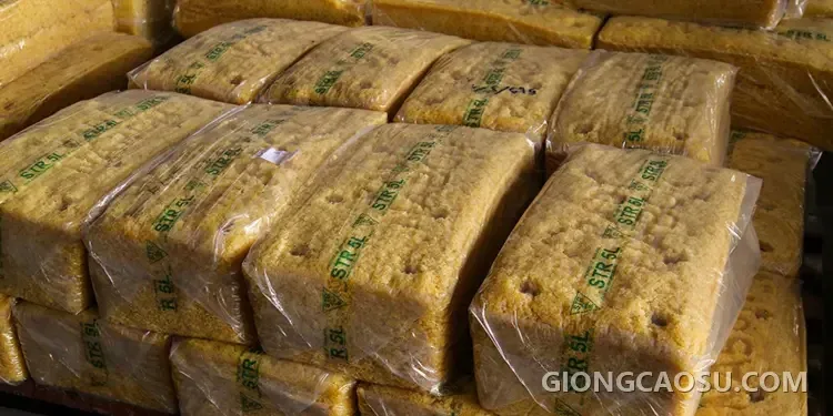 Xuất khẩu cao su tăng trưởng minh họa cho diễn biến giá mủ