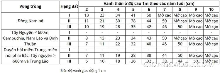 Bảng tiêu chuẩn vanh thân thời gian kiến thiết cơ bản (KTCB) cây cao su theo từng năm tuổi