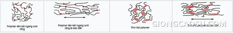 Mô hình cấu trúc polymer bị kéo dãn