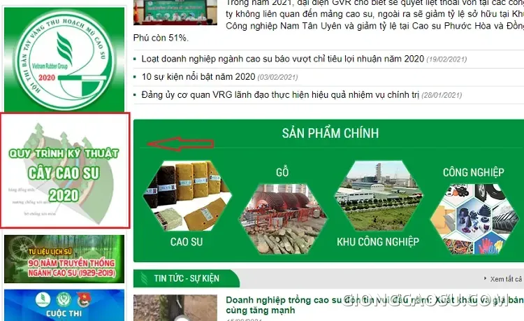 Tài liệu Quy trình kỹ thuật cây cao su 2020 do VRG ban hành