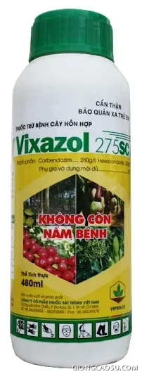 Thuốc trị nấm Vixazol 275SC dùng phòng trị bệnh phấn trắng