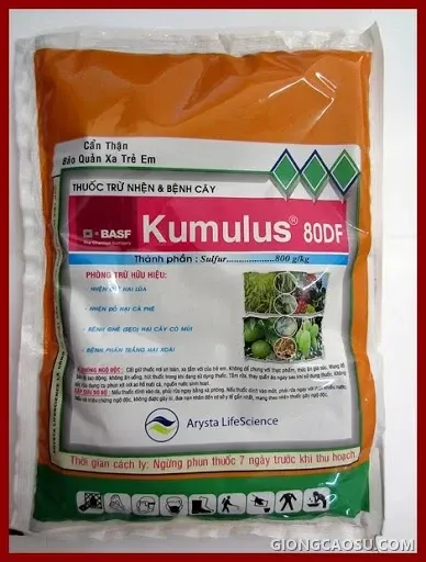 Bột lưu huỳnh hòa tan Kumulus 80WP dùng phòng trị bệnh phấn trắng