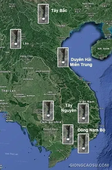 Bản đồ phân bố các vùng trồng cao su ở Việt Nam